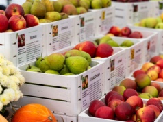 Smaki regionu wracają do Rzeszowa. W sobotę Podkarpacki Bazarek w Parku Papieskim