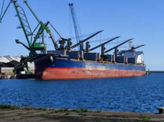 Skażony słonecznik przypłynął z Mercosur. Rolnicy alarmują: ceny nam spadły o 10%