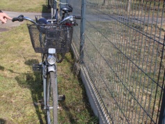 Potrącenie rowerzystki. Senior wyjeżdżał z podporządkowanej