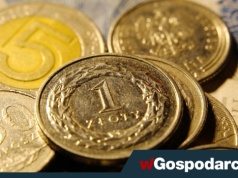 RPP nie pomogła złotemu