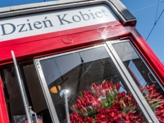 Tramwaj pełen tulipanów będzie jeździł po Krakowie. Specjalna akcja na Dzień Kobiet