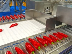 Energia i automatyzacja kluczowe dla przetwórstwa. "Skala produkcji w PL wciąż mniejsza niż w UE"