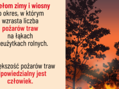 Czternaście pożarów traw w tydzień. Strażacy przypominają, że to nielegalne
