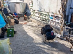 Spór o drób w kamienicy w Podjuchach