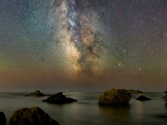 Przenoszą życie w kosmosie lepiej, niż statki. Badania mówią jasno