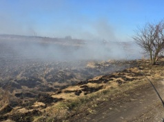 Wypalanie traw to śmierć i zniszczenie. I wysokie kary