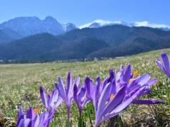 Nie rób tego w pierwszy dzień wiosny. Dawny przesąd wciąż aktualny?