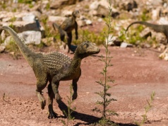 Godzilla nie miałaby szans. Zdradziłaby ją matematyka