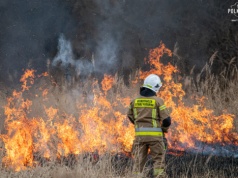 Podkarpaccy strażacy walczą z pożarami traw