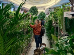 Galeria Rzeszów zamieni się w dżunglę. Wiosenne Targi Roślin i kwiat dla każdej Pani