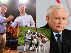 Sondaż: poparcie dla PiS spada do 22,5%, Konfederacja umacnia się jako trzecia siła