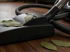 Problem z nieprzyjemnym zapachem? Wrzuć kilka listków do odkurzacza. Ten prosty trik działa