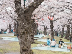 Na ten festiwal w marcu wielu czekało. Atrakcja odwołana