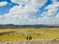 Największa farma wiatrowa w USA na ukończeniu. Aż 242 wiatraki