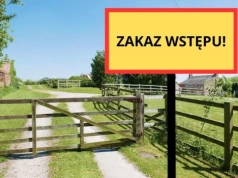 Czy bioasekuracja jest niezbędna w stadzie bydła mlecznego?