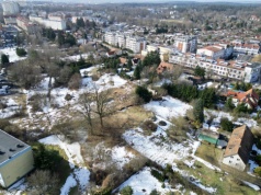 Olsztyn. Ratusz kontra mieszkańcy Niedźwiedzia. Troska o 150-letnie drzewa czy dewelopera?