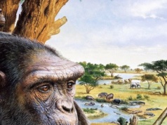 Małpa z Europy chodząca na dwóch nogach? Tego nikt nie zakładał