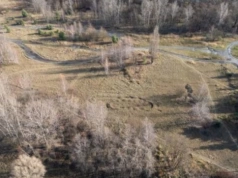 Kolejna próba sprzedaży przez Uniwersytet Śląski dużego terenu w Szopienicach zakończyła się niepowodzeniem