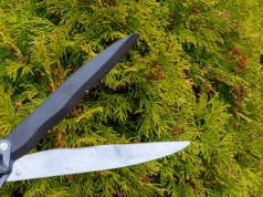 Kiedy przycinać tuje wiosną? Praktyczny przewodnik prosto od ogrodnika