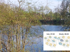 Jaka będzie pogoda w weekend? Wokół coraz więcej wiosny, ale noce przypominają o zimie