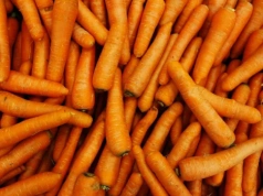 Rekordowy import marchwi w 2025 roku. Do Polski trafiło ponad 70 tys. ton!