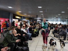 Na lotnisku - wielkie nerwy. Znaleźli na to nieoczekiwany sposób