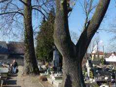 Cmentarz pechnicki botanicznie i geologicznie