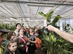 Za kulisami Zoo w Ostrawie. Wiosenne oprowadzania wśród bonsai