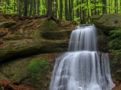Urokliwa kaskada otoczona bukowym lasem. Idealny cel na wiosenny spacer