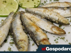 Tłuszcze w diecie to patent na odporność