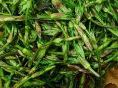 1000 euro za kilogram. Dla Niemców to rarytas, w Polsce wciąż niedoceniane