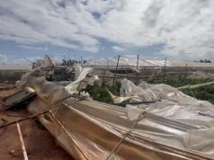 Ktoś traci, ktoś korzysta – Belgowie i Holendrzy wypełnią jagodową lukę na rynku po katastrofach pogodowych w Hiszpanii?