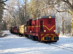 Łódzkie nie chciało przejąć krośniewickiej wąskotorówki. Co z trasą rowerową?