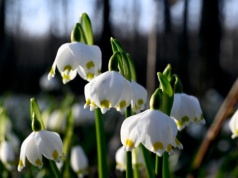 Polska pod wpływem potężnego antycyklonu. Synoptycy mówią o dużym zwrocie w pogodzie