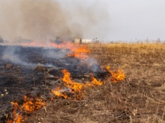 10 lat więzienia i wysokie grzywny za wypalanie traw