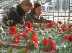 Na 8 marca: Równe płace zaczynają się od danych. Polska przed sprawdzianem przejrzystości wynagrodzeń