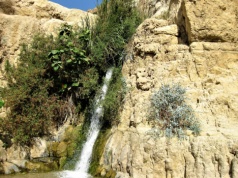 Czy można kłócić się z Bogiem?