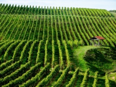 Przywitaj lato w Kiszyniowie ☀️🍇 City break w supercenie 390 PLN (loty + noclegi) 🔥😮