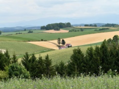 Dzierżawa gruntów z KOWR. Od czego zależy wysokość czynszu?