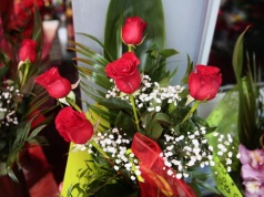 Jakie kwiaty na Dzień Kobiet wybierają kieleccy panowie?