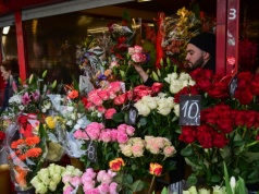 Tulipany dla pań, cisza dla panów