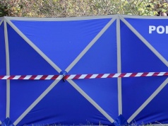 Tragedia podczas zbierania szyszek pod Nowym Tomyślem. Nie żyje jedna osoba, dwie ranne