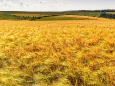 Finał sporu o 32 000 hektarów ziemi i majątek zmarłego właściciela agroholdingu na Ukrainie