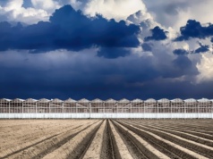 18 hektarów upraw pod szkłem. Wielkie gospodarstwo warzywnicze powstaje pod Lwowem
