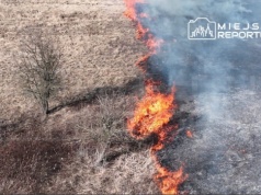 Mazowsze znów płonie. Straż alarmuje po serii pożarów traw i nieużytków (WIDEO)