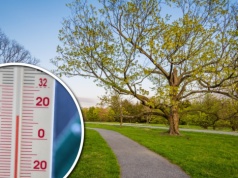 Ciepły marzec to nie wszystko! Na początku kwietnia będzie chłodniej. Jeszcze nie pora na wiosnę