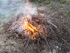 Palisz gałęzie na działce? Brawo, straż miejska tylko na to czeka. Kara to nawet 5 tys. zł