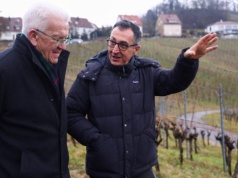 Zieloni wygrali wybory w Badenii-Wirtembergii