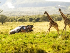 5 powodów, dla których warto oglądać Rajd Safari na żywo w Motowizji
