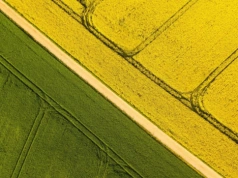 Produkty w nowej odsłonie, skład bez zmian. Qemetica® z nowymi etykietami